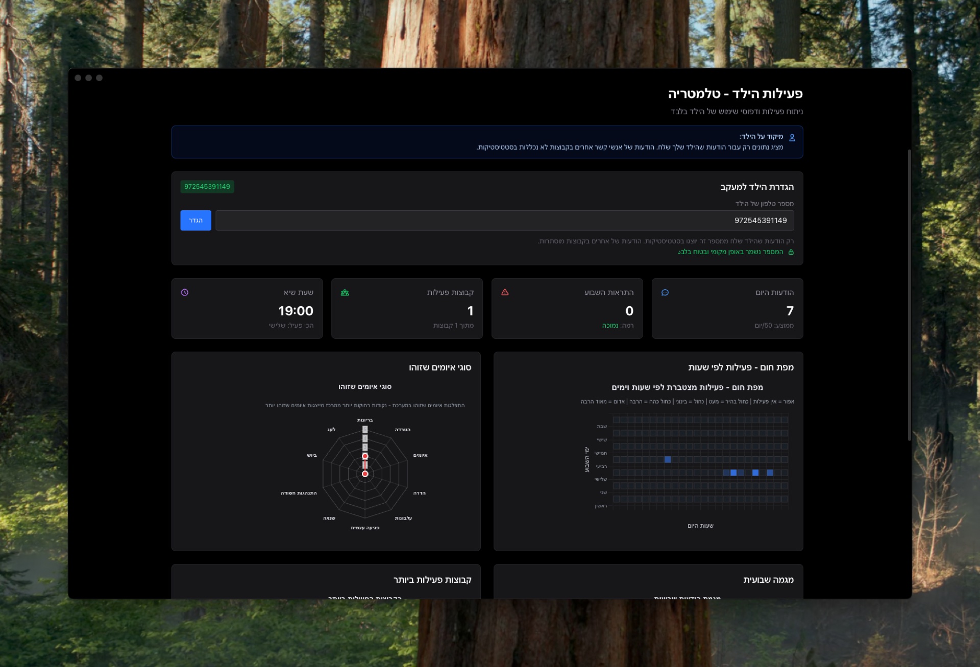 דוחות וניתוח - תובנות מתקדמות